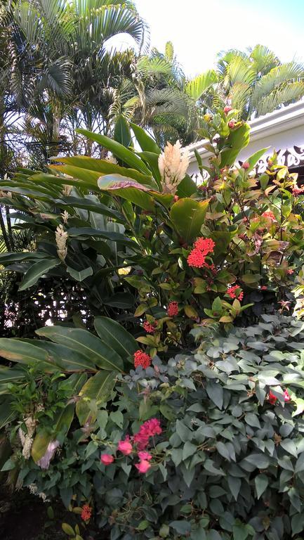Cap Martinique Villa แซ็งแตนน์ ภายนอก รูปภาพ