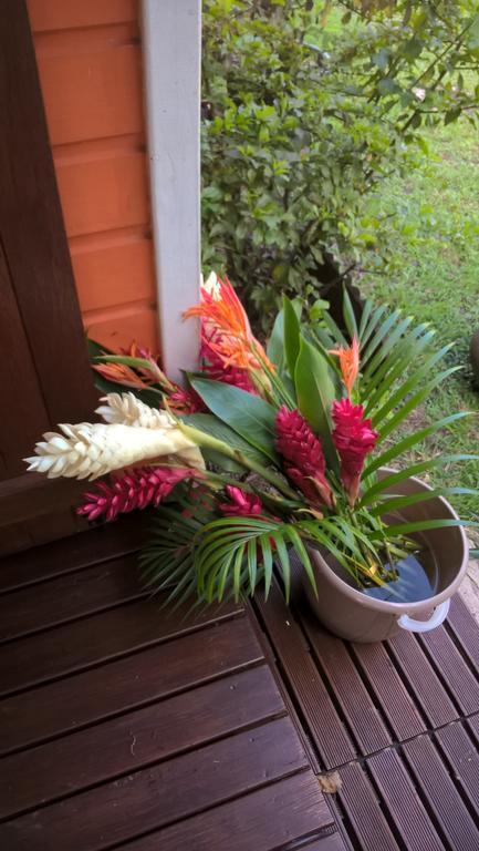 Cap Martinique Villa แซ็งแตนน์ ภายนอก รูปภาพ